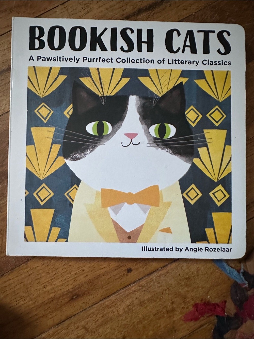 Bookish Cats a passively perfect collection of literary classics